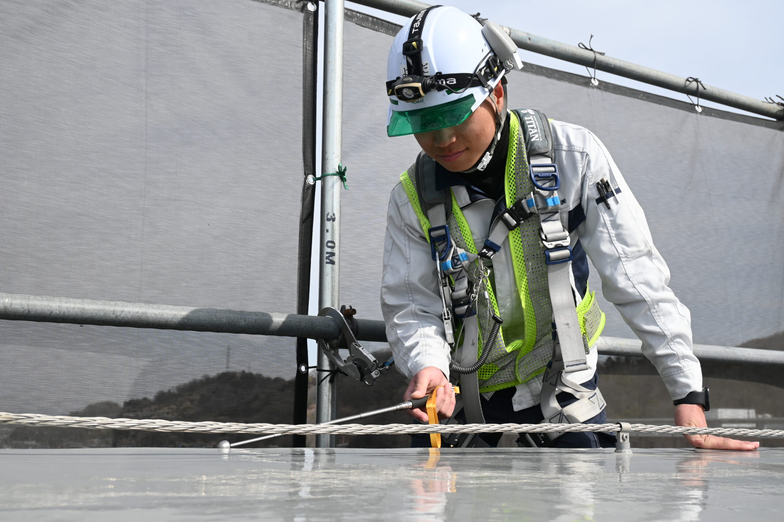 コンテンツ画像